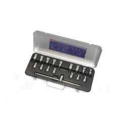 İzeltaş 1113006017 1/2'' Lokmalı Allen ve Star (Torx®) Uç Takımı 17 Parça