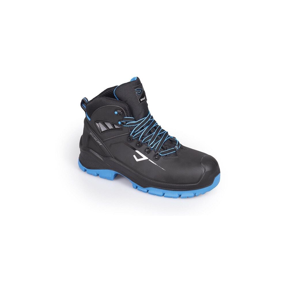Bicap Whale PS60730 7D K 4 S3 Src İş Botu